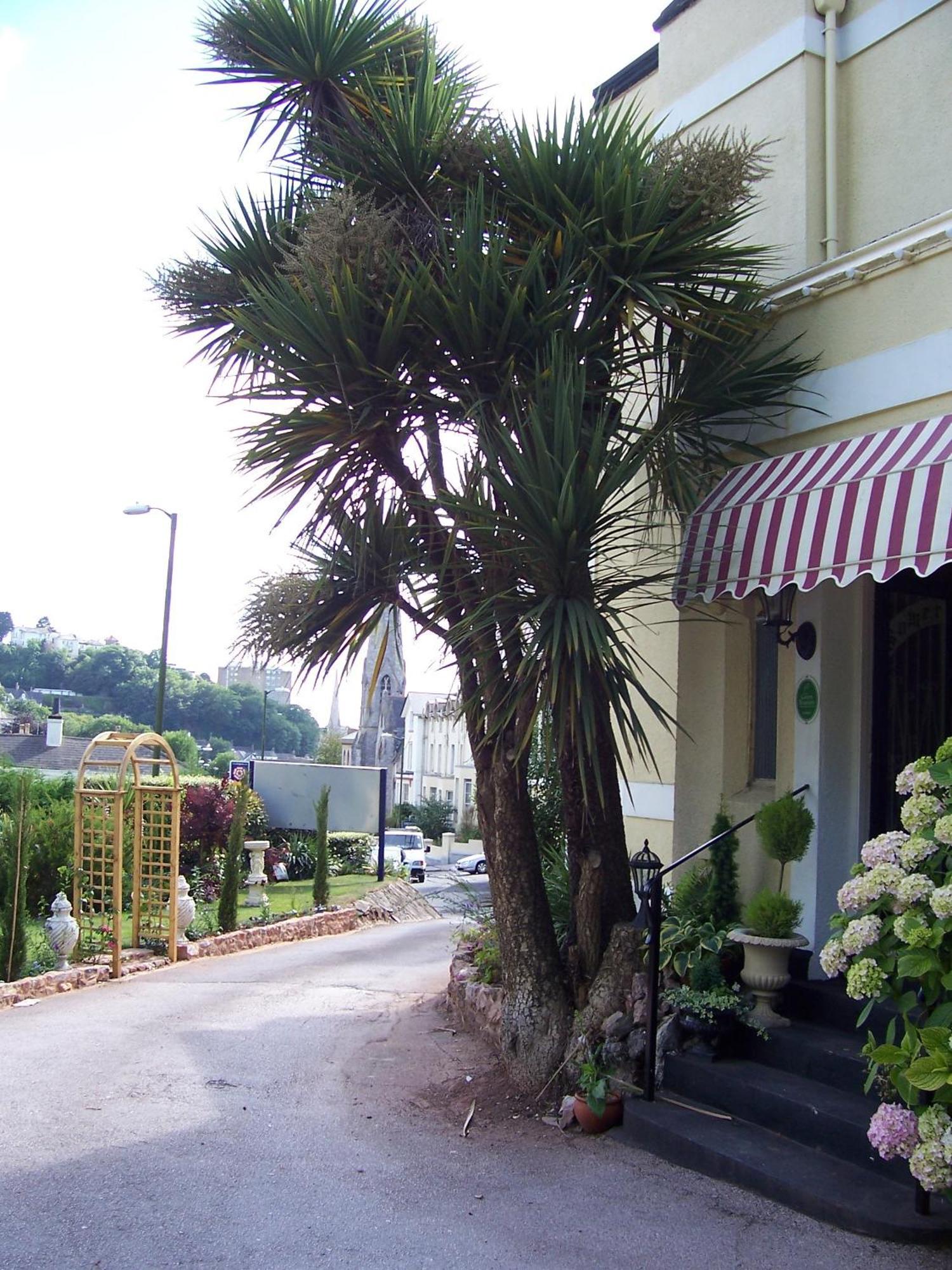 The Somerville Torquay Eksteriør billede